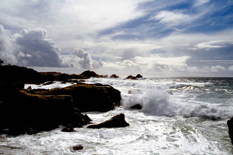 After the Storm, Point Lobos