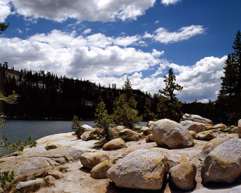 Boulders at Tenaya Lake