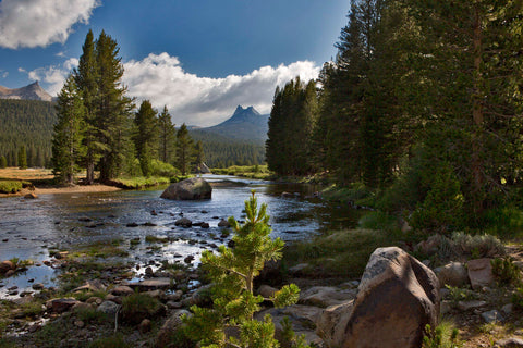 Cathedral Peak and Tuolemne River