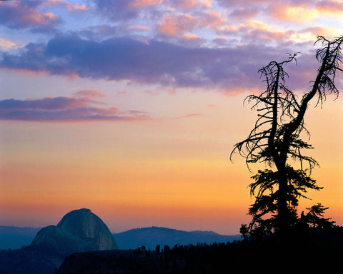 Half Dome from Olmstead Point